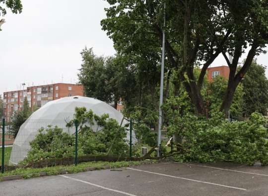 Šeštadienį Lietuvą ir Ukmergės rajoną užklupęs uraganinis vėjas paliko daugybę padarinių