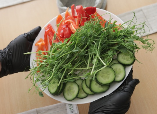 Vaikų maitinimui ekologiškais produktais Ukmergėje - Europos Komisijos dėmesys