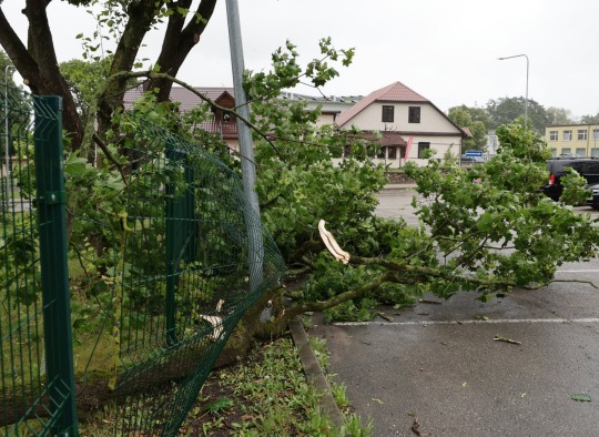 Šeštadienį Lietuvą ir Ukmergės rajoną užklupęs uraganinis vėjas paliko daugybę padarinių