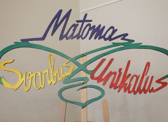 Respublikinės autizmo konferencijos „Unikalus-matomas-svarbus“ akimirkos