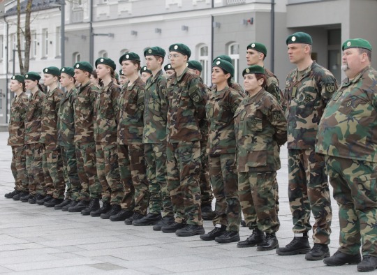 Lietuvos įstojimo į NATO 21-ųjų metinių minėjimo akimirkos