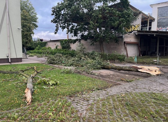 Šeštadienį Lietuvą ir Ukmergės rajoną užklupęs uraganinis vėjas paliko daugybę padarinių