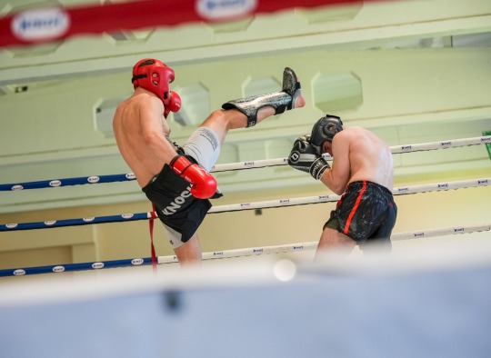 Ukmergėje – aukšto lygio kovinio sporto savaitgalis