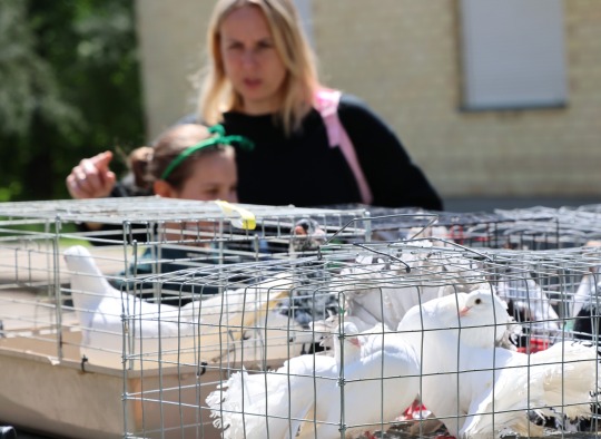 Ukmergės miesto šventė nušvietė mažųjų šypsenos ir džiaugsmas