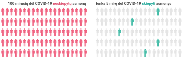 5 pav.